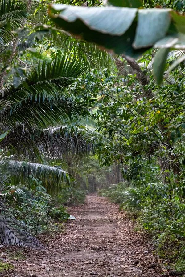 Uvita & Dominical