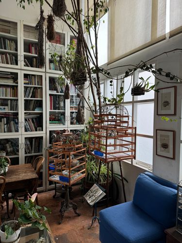 Casa Cielo + Artist's Atelier Mexico City