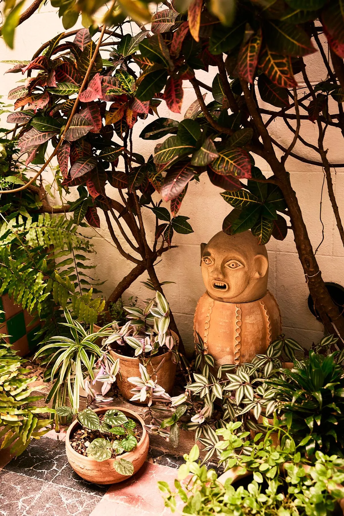 Casa Independencia Oaxaca