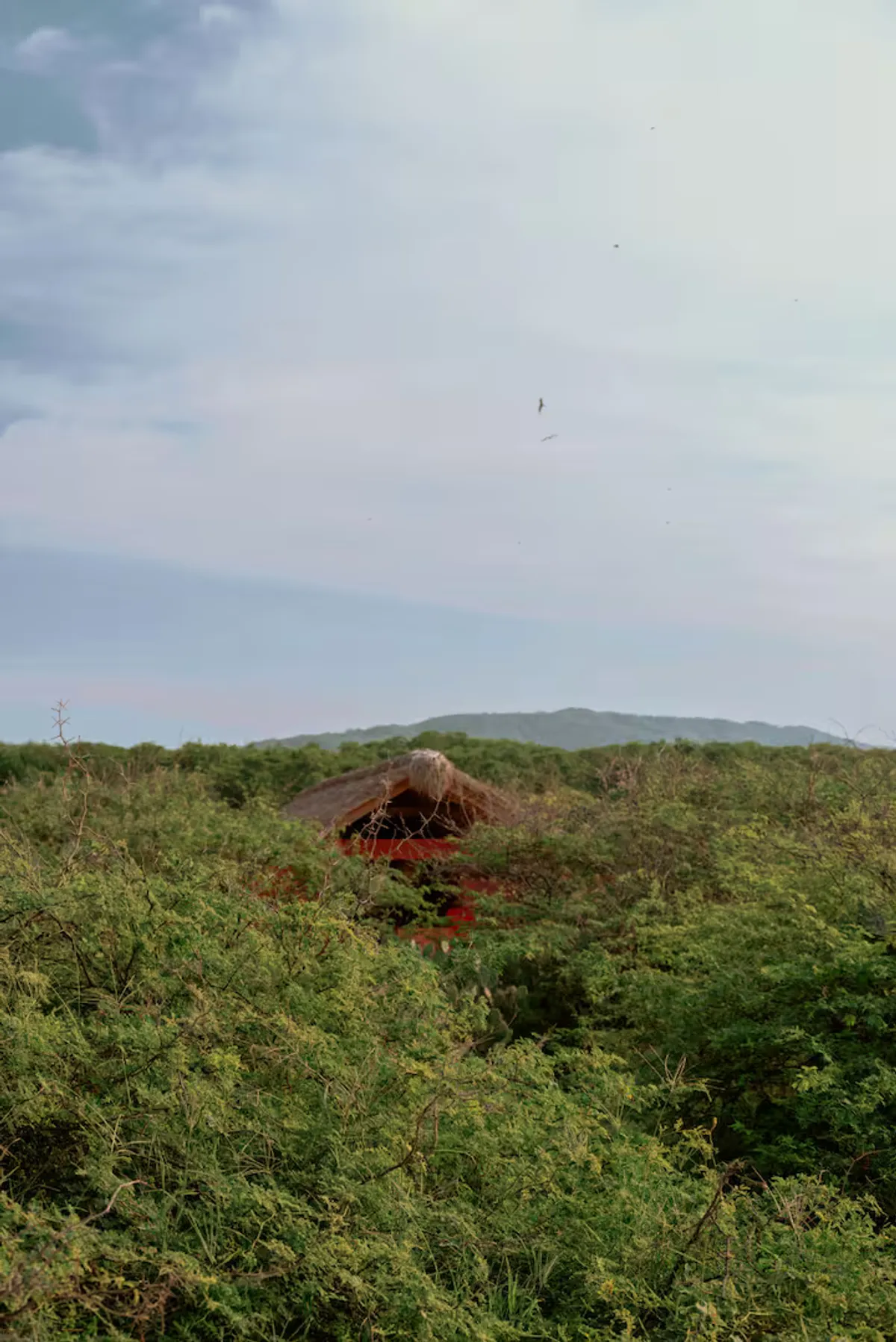 Cayman - Villa 2 Puerto Escondido