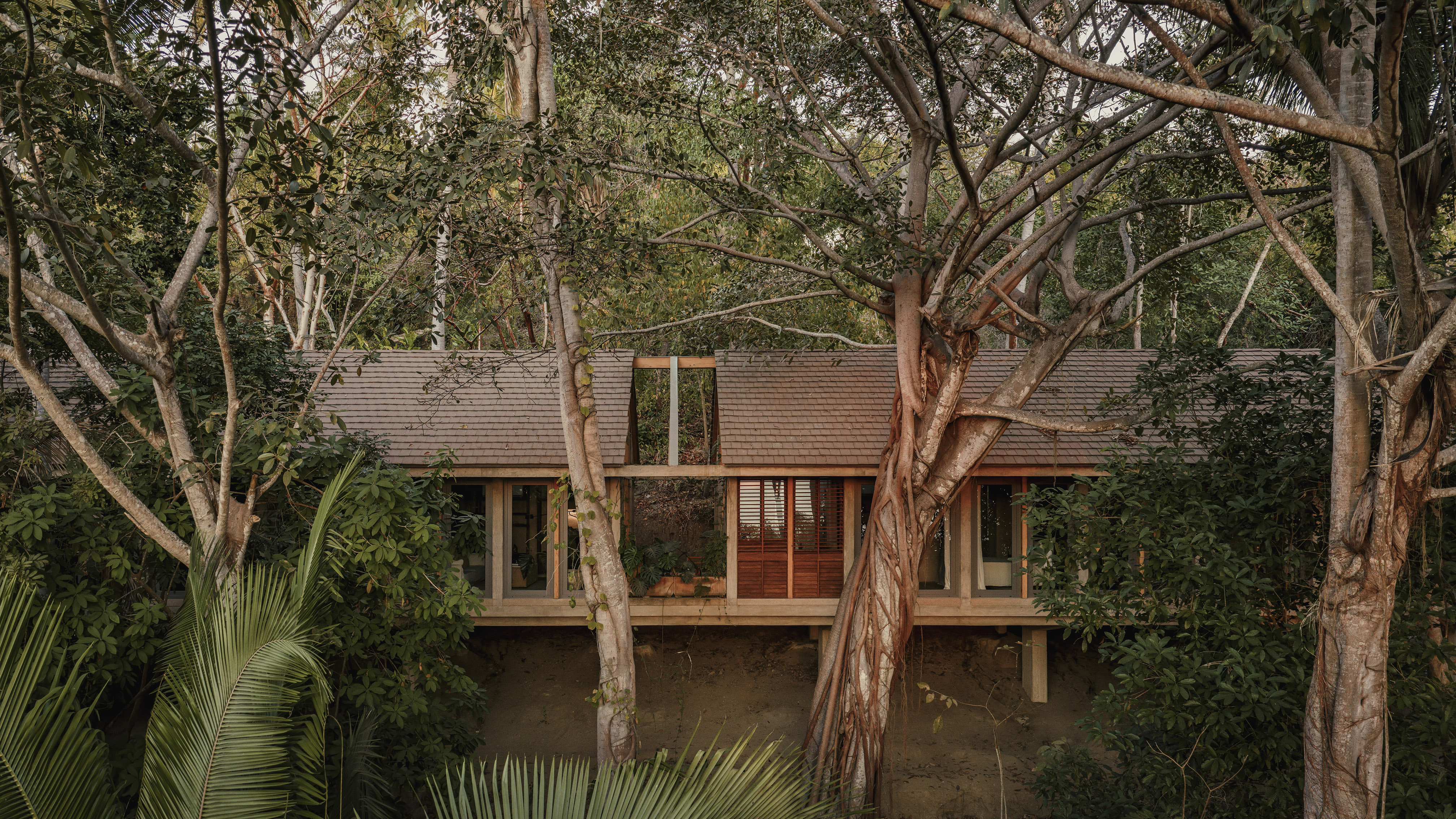Casa de las Aves