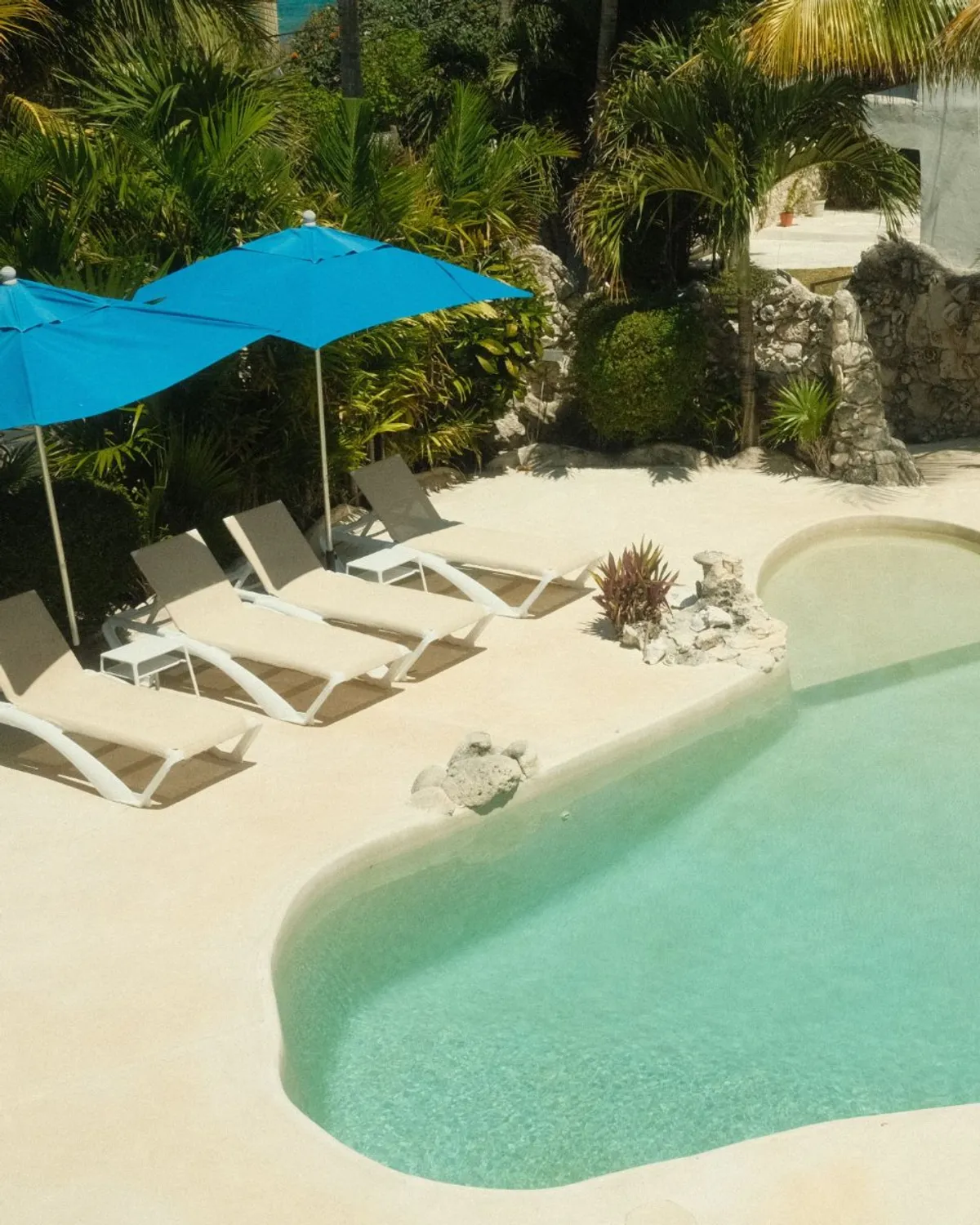 Organic Home in Isla Mujeres