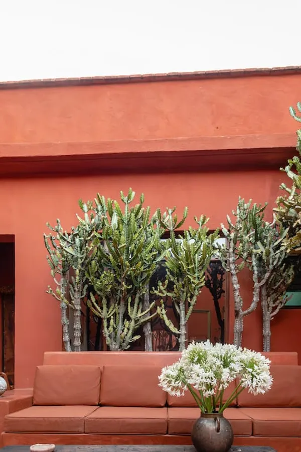 Home in Oaxaca