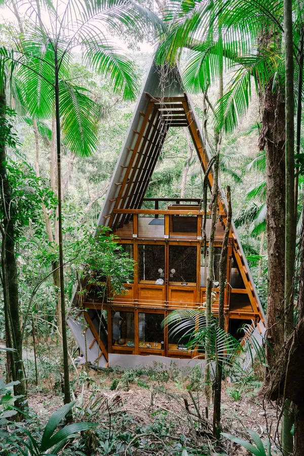 Casa Macaco