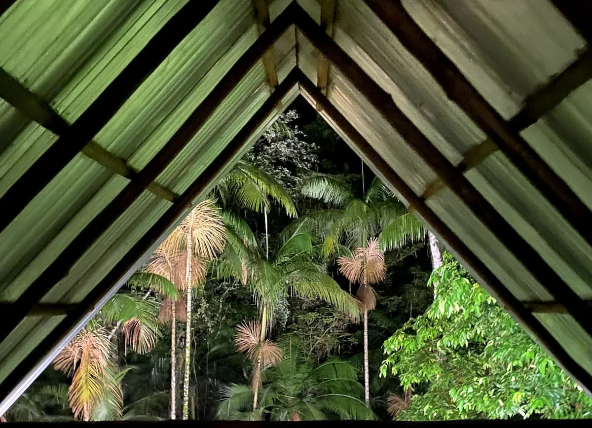 Jungle Cabin in Paraty–Cunha road