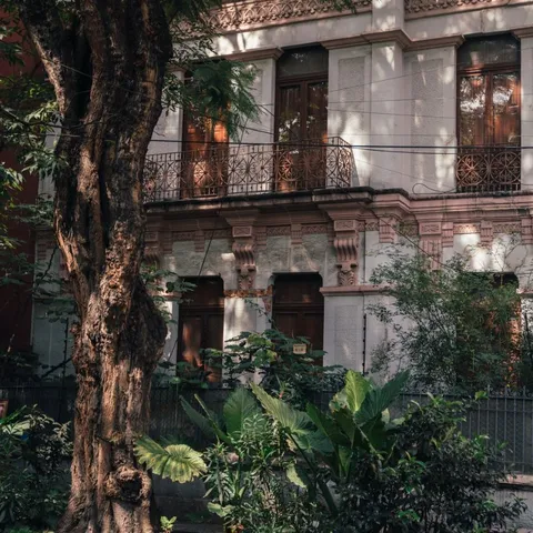 Historic Home in Roma Norte