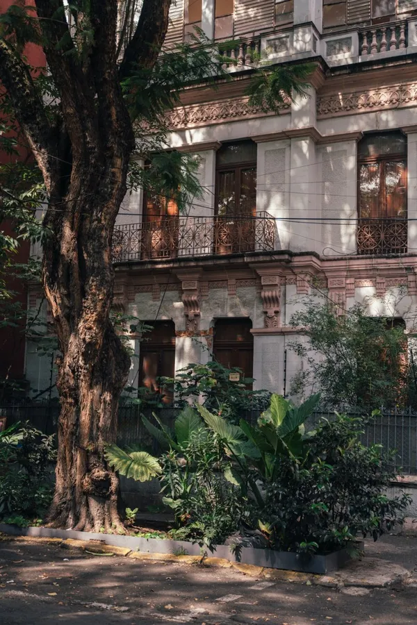 Historic Home in Roma Norte