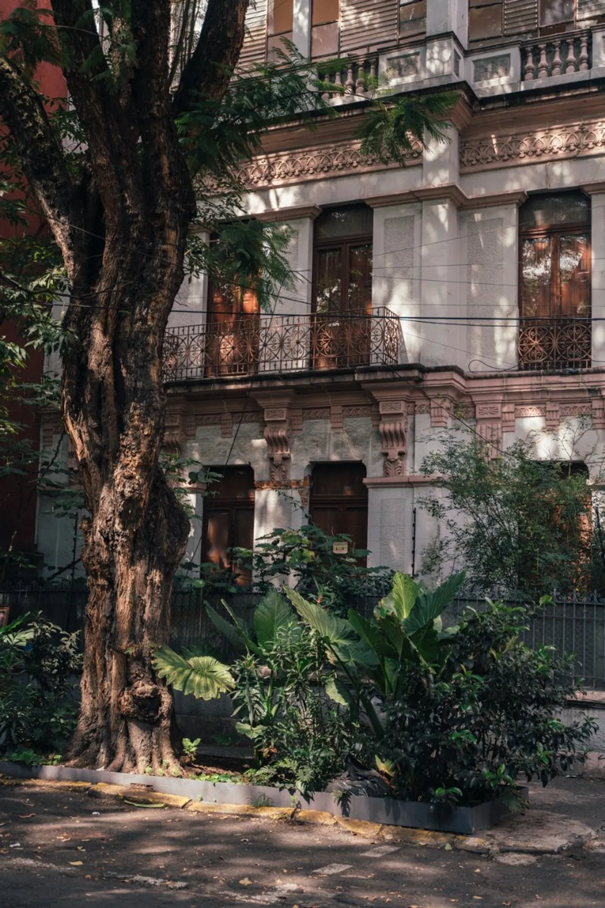 Historic Home in Roma Norte