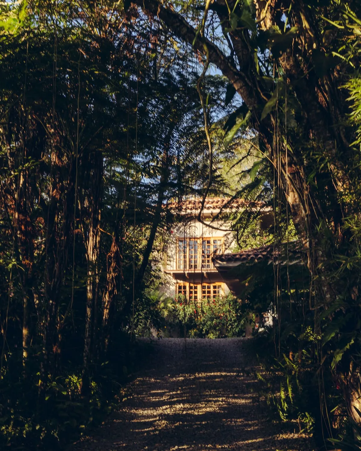 Private Farm in Colombian Highlands,