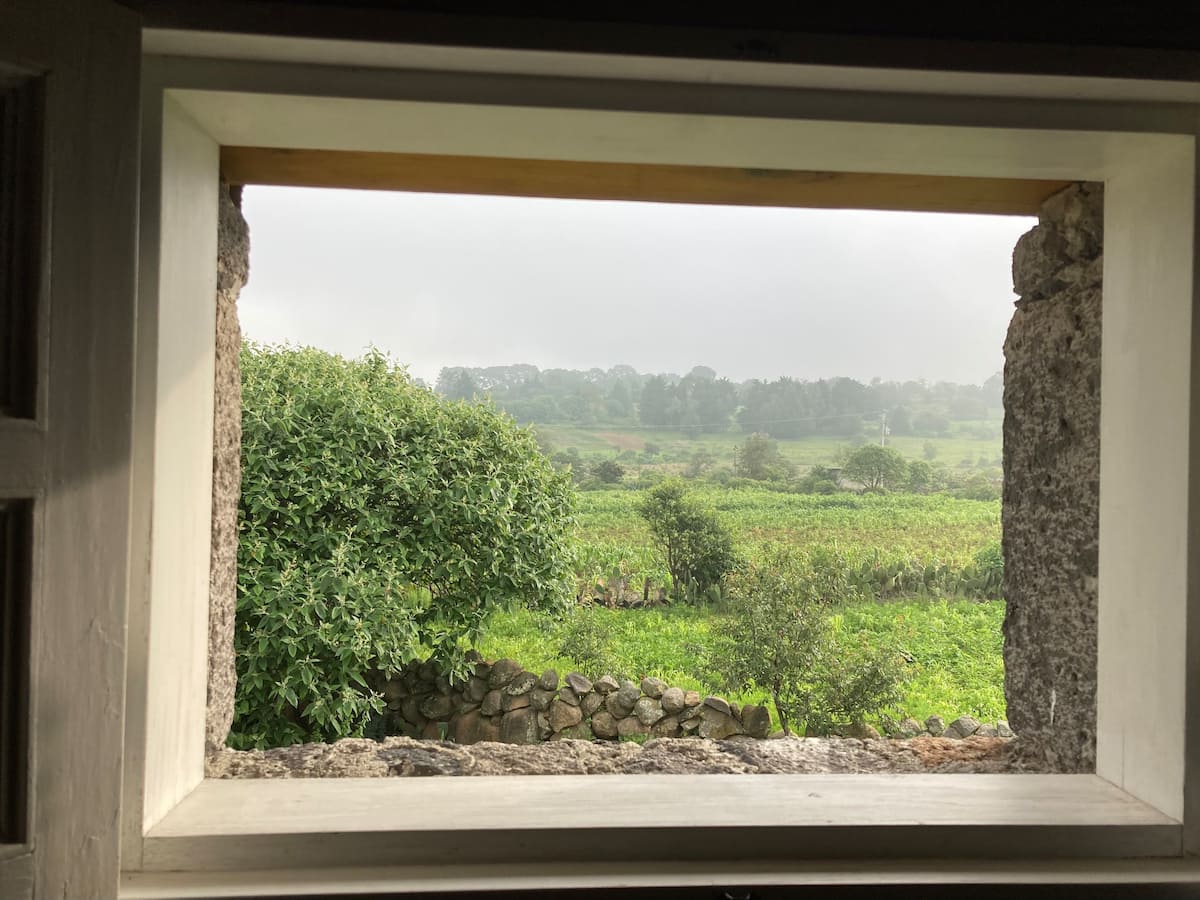 Jardín de Felisa More Locations