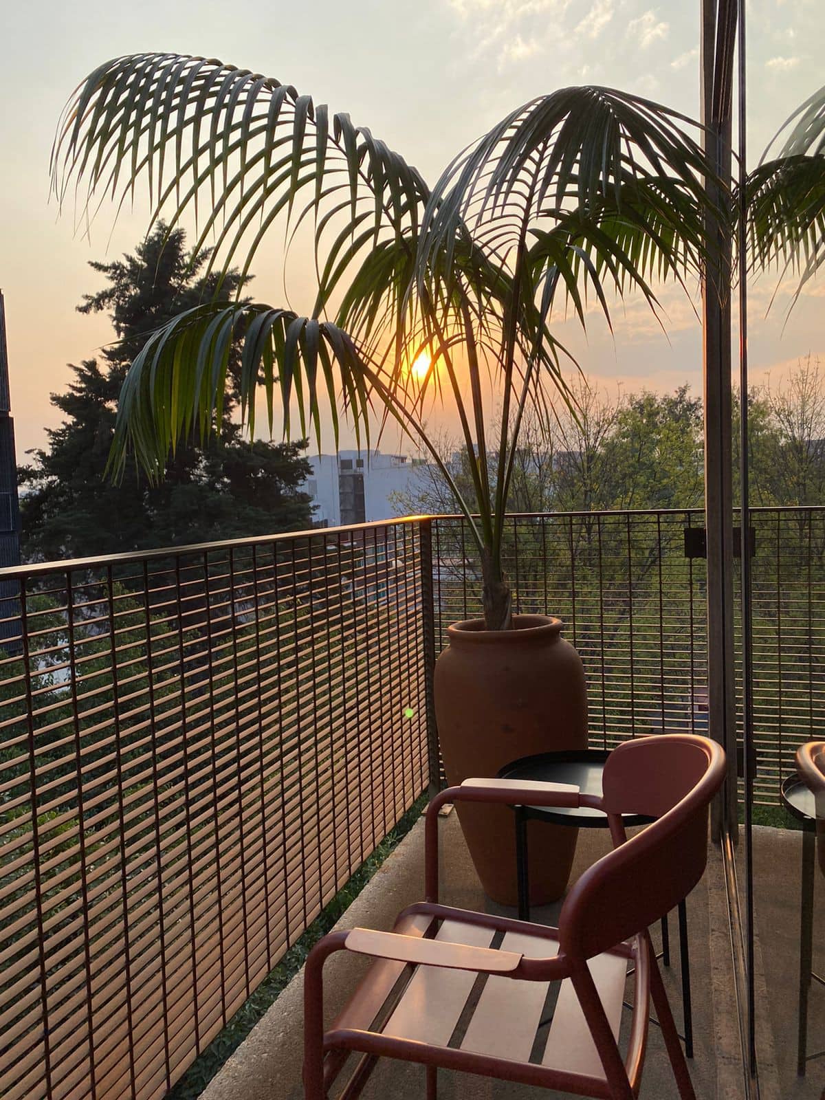 Departamento Pino No.3 Mexico City