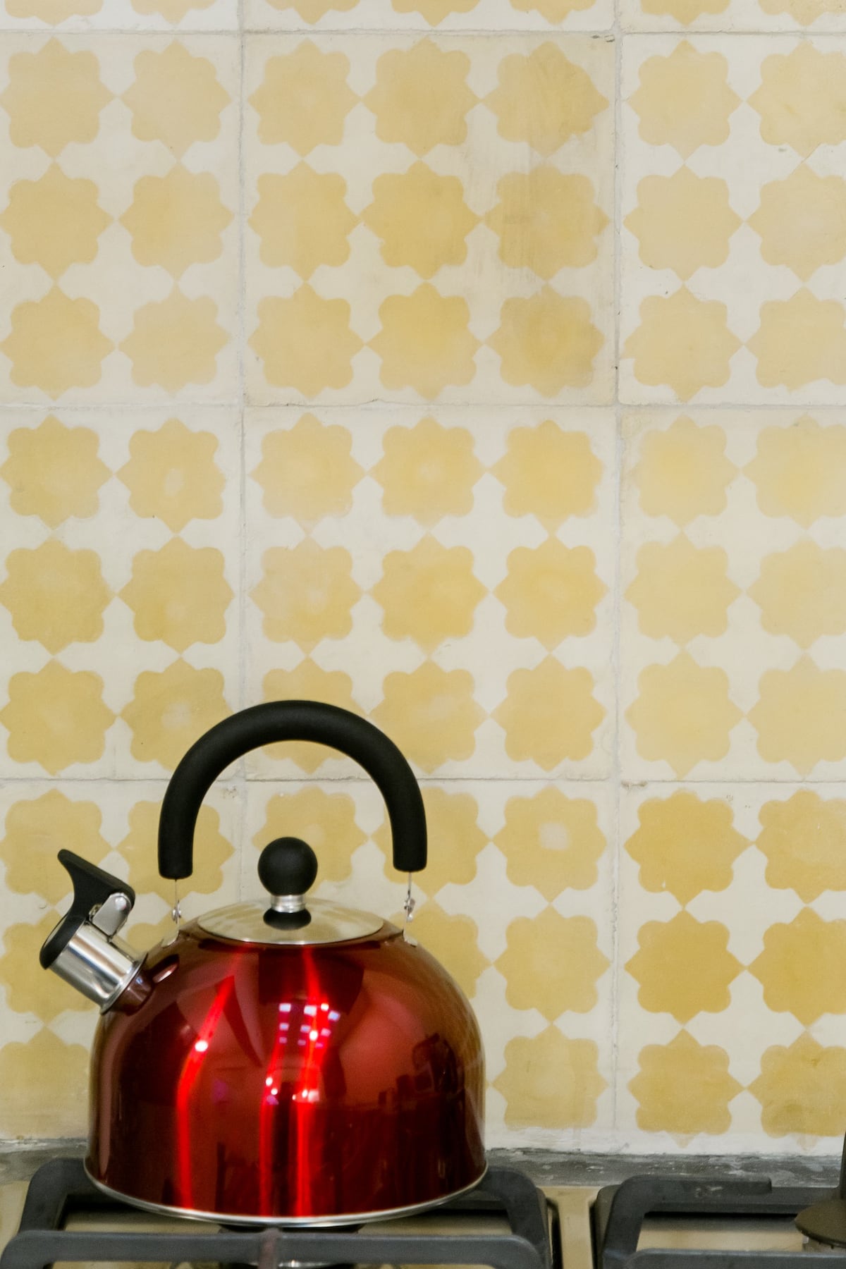 Casa Culiacan Mexico City