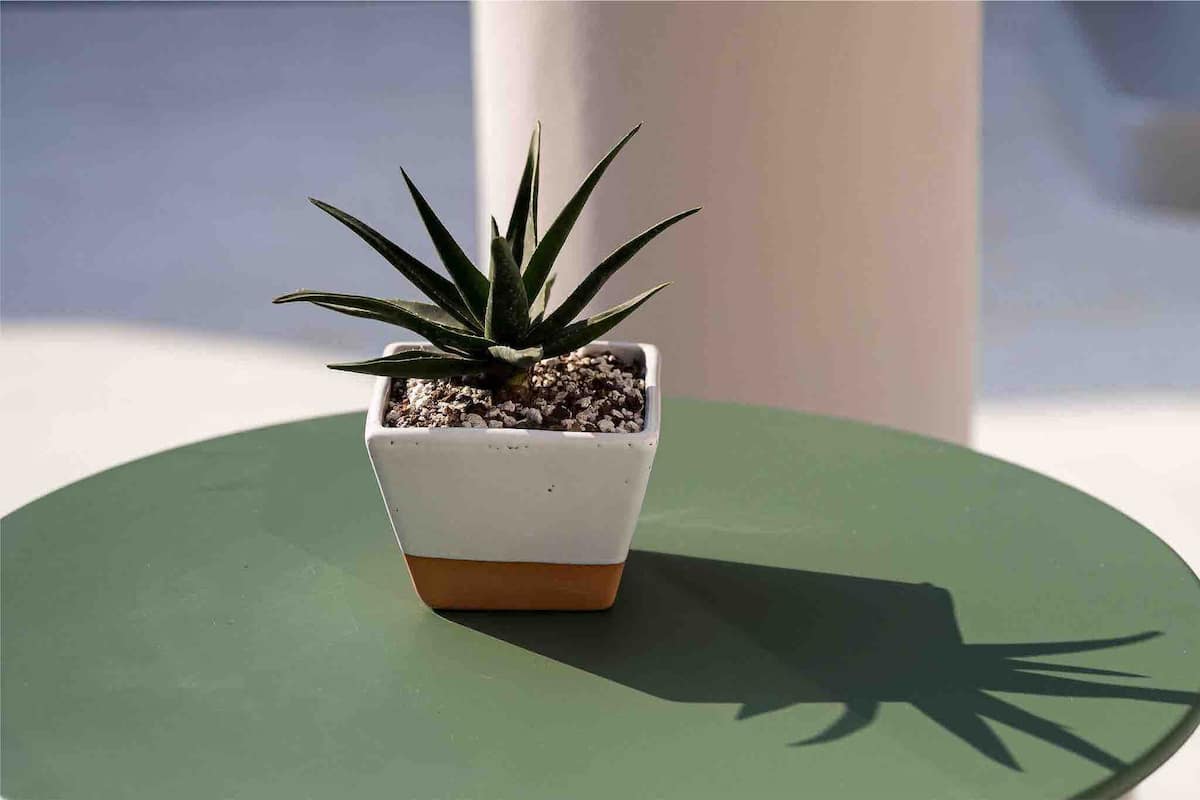 Casa Nopal Puerto Escondido